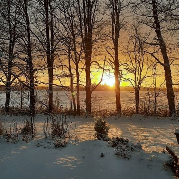 Meet your Posher, Lisa - Picture 1 of 1